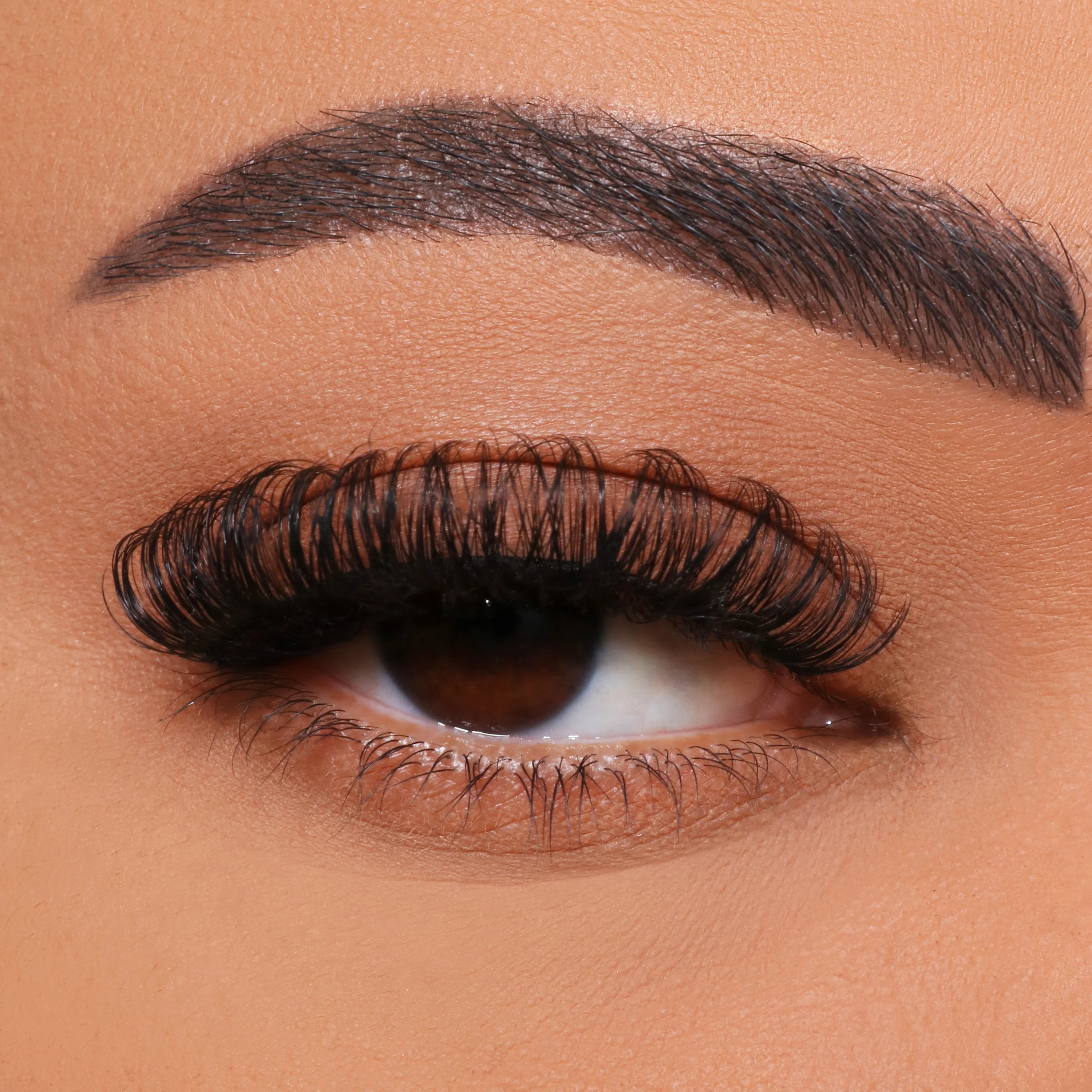 چگونه می توان پیوند مژه چند گل را DIY کرد؟